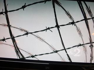 Arrest of Disney Cruise Ship Passenger