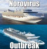 Princess Cruises Ships Norovirus