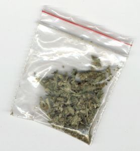 Cruise Ship Drugs - Bermuda
