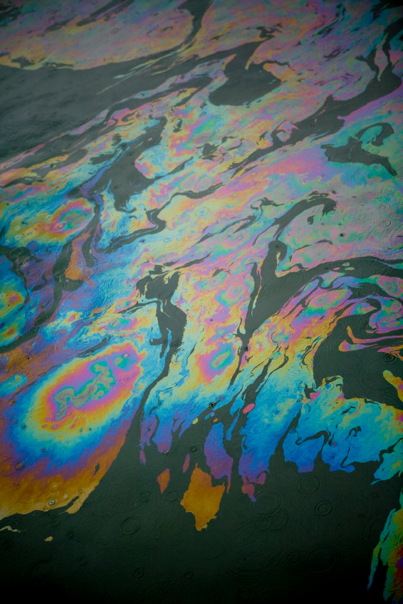 Cruise Line Corporate Felons - Pollution - Lying