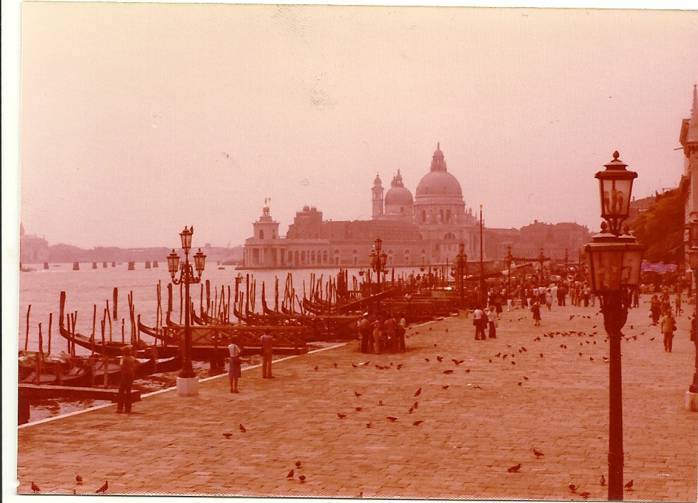 Venice - Cruise Ships Pollution
