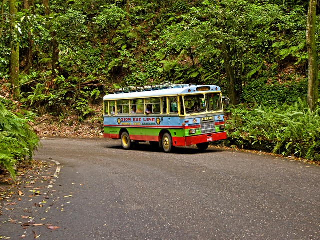 Bob Marley Excursion - Crnival Cruise