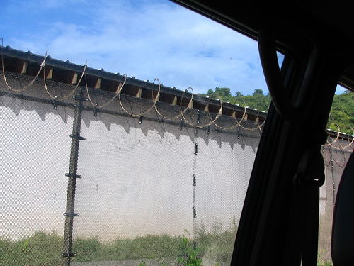 Labadee Security Fence - Outside Looking In