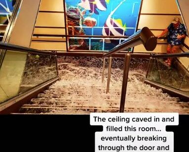 Carnival Vista Flood