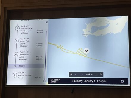 Cruise Passenger Goes Overboard From Nieuw Statendam | Cruise Law News