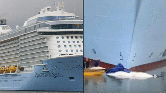 Pregnant Fin Whale Found Dead on Bow of Royal Caribbean Ship in Alaska