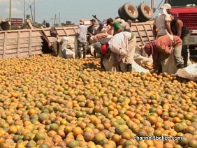 Belize Cruise Excursion Accident
