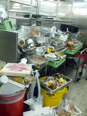 Cruise Ship - "Ship Life"